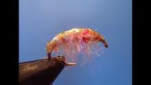 Video thumb for Hammer Creek Scud