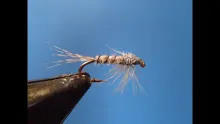 Video thumb for Hammer Creek Disco Duck