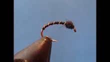 Video thumb for Black Beauty