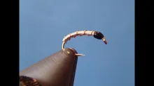 Video thumb for Miracle Nymph
