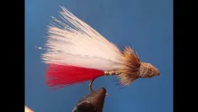 Video thumb for Marabou Muddler