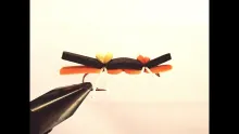 Video thumb for EZ Chernobyl Ant